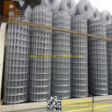 High Quality Hot-Dipped Galvanized Welded Wire Mesh